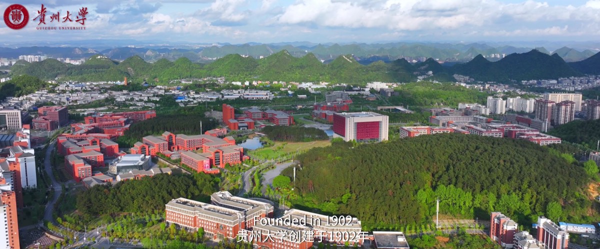 官方校园实景 6