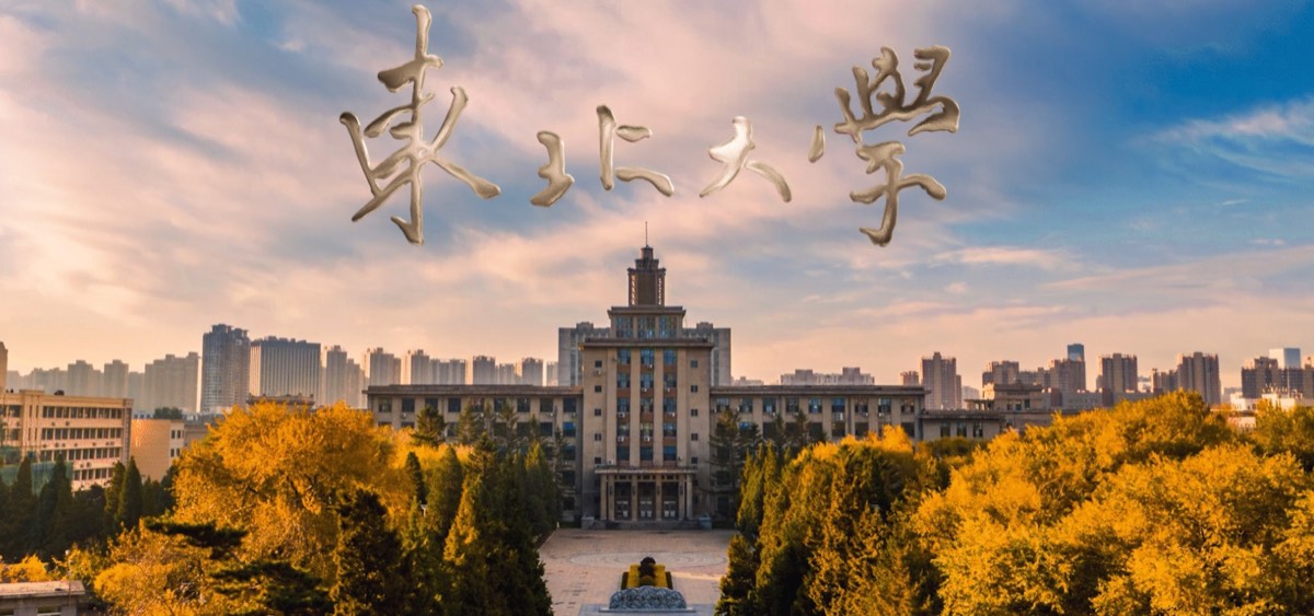 官方校园实景 7