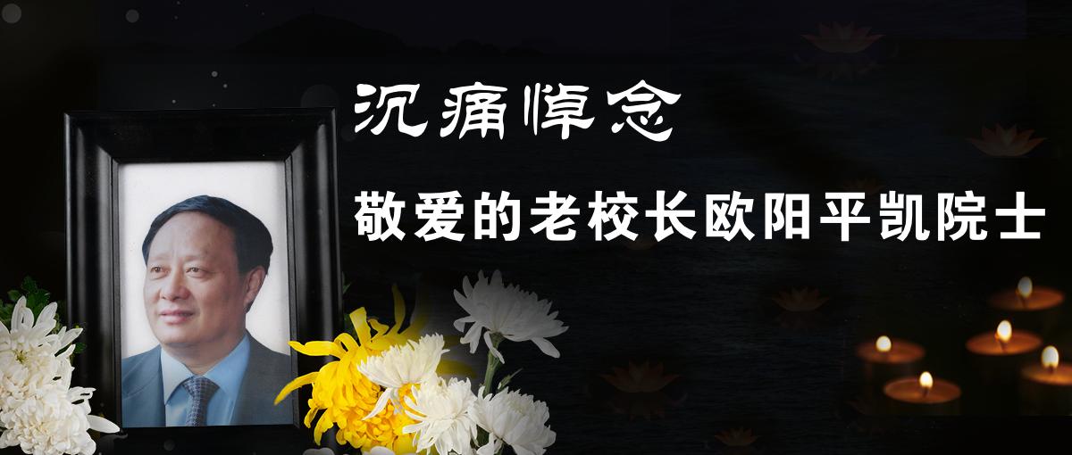 官方校园实景 6