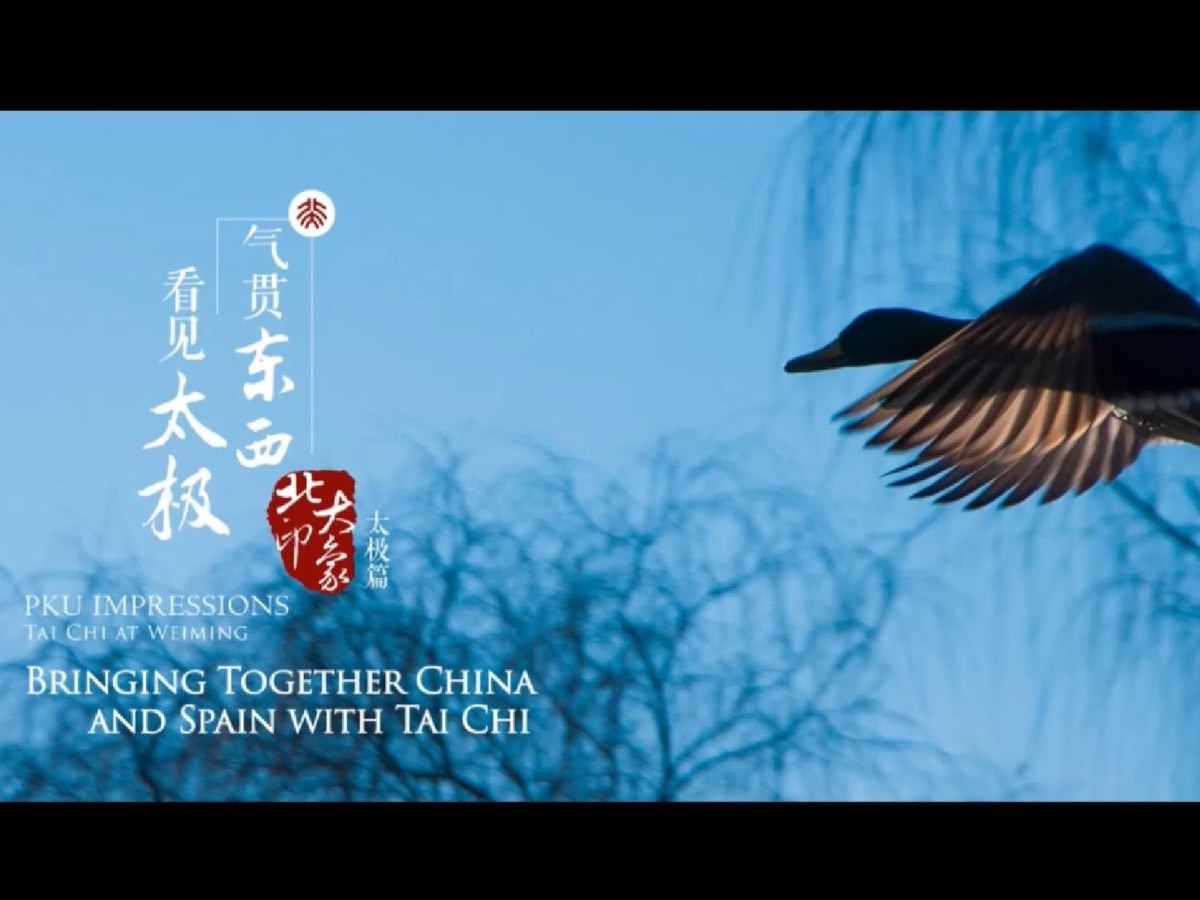 官方校园实景 5