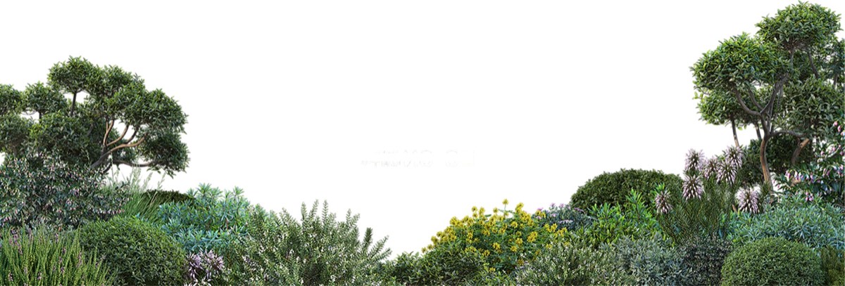 官方校园实景 5